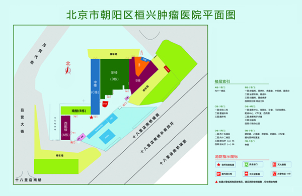 好大的鸡吧舒服使劲操视频北京市朝阳区桓兴肿瘤医院平面图